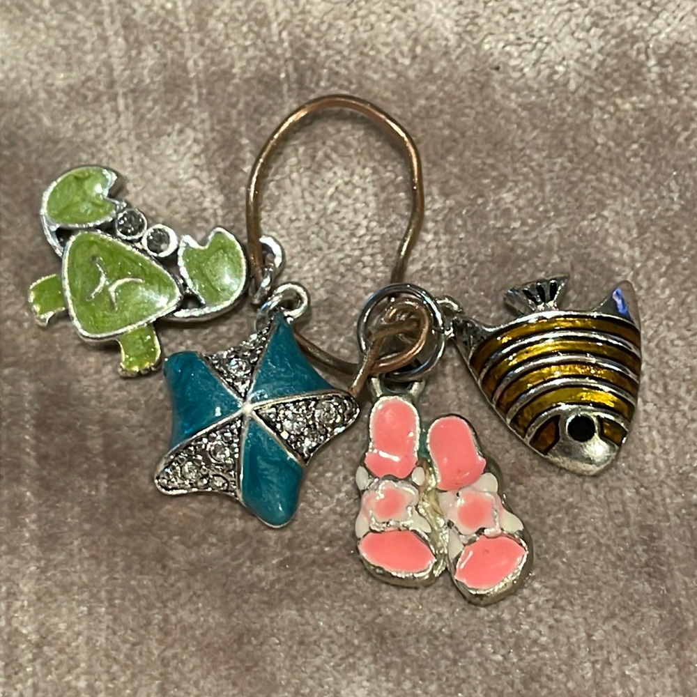 4 charms beach Sealife